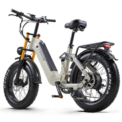 Ficyacto Elektrofahrräder 20x4.0 Zoll E-Bike Herren Damen Mit 48V 20AH Akku All-Terrain E-Mountainbike,7-Gang-Getriebe,Vollfederung City Ebike