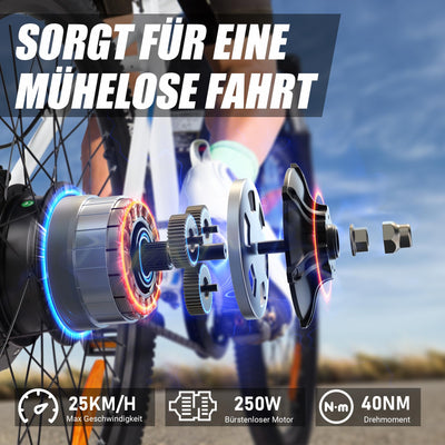VARUN Elektrofahrrad 24 Zoll, Herren und Damen E-Bike mit 36V 7.8Ah herausnehmbarem Li-Ion Akku mit 250W Motor, Aluminiumlegierung Elektrofahrrad für Outdoor Touren 70KM