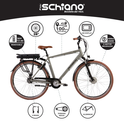 F.lli Schiano E-Moon, E Bike Trekking 28 Zoll, 36V 13Ah Abnehmbarer Akku, Motor 250W 40Nm, Trekking EBike für Herren, Grau