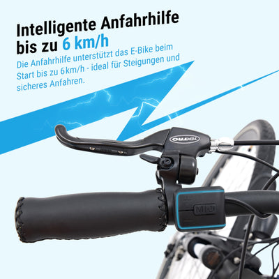 AsVIVA B15 E-Bike 28 Zoll für Herren & Damen - Pedelec mit 250W Bafang Hinterradmotor - 36V Samsung Akku - 7-Gang Shimano - bis 150 kg Nutzergewicht - Citybike Elektrofahrrad (grau-schwarz)