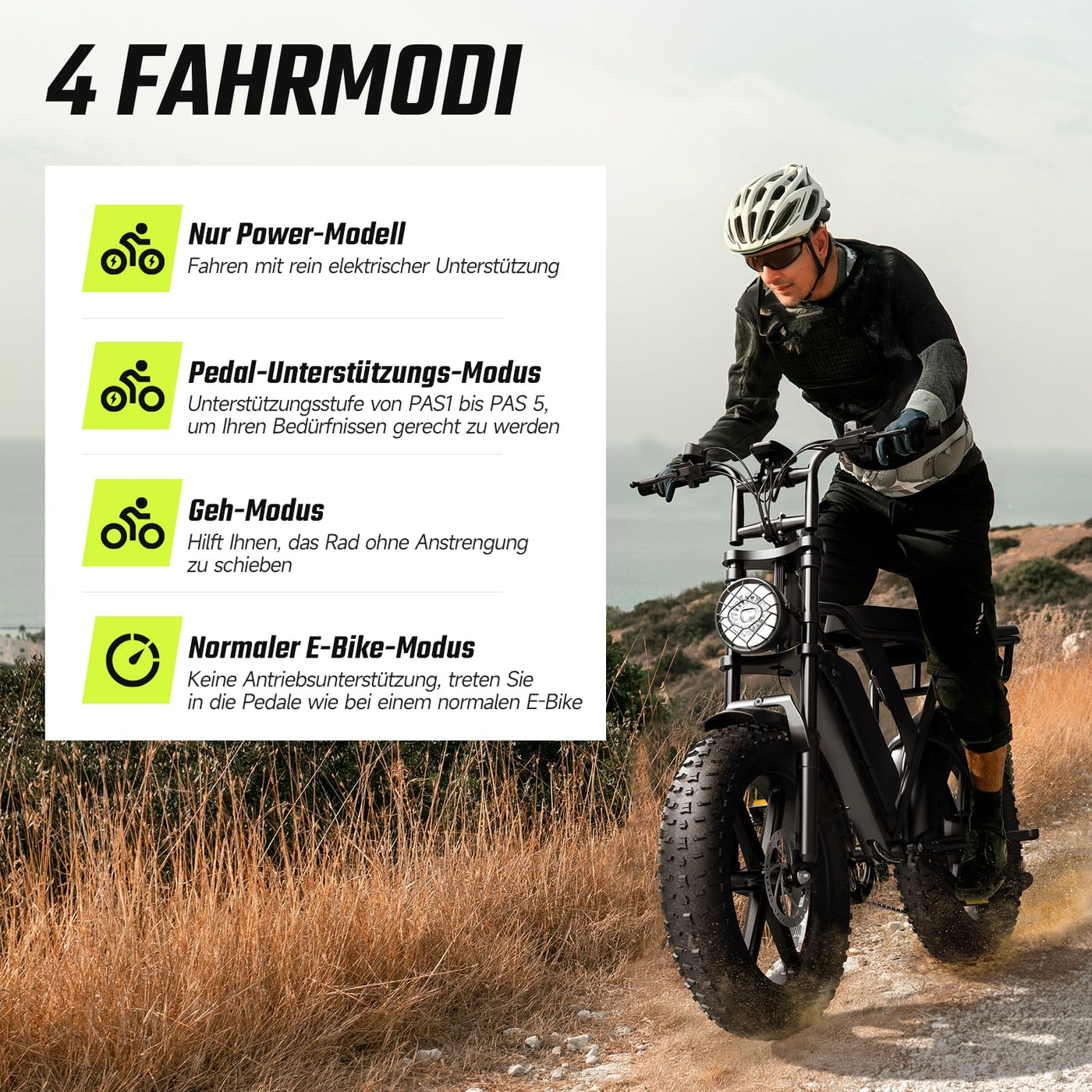 SISIGAD E Bikes Mountainbike Fatbike 20 Zoll Elektrofahrrad Herren Damen Elektro Fahrrad mit LCD Display und App, E Fatbike 36V 13Ah Batterie 250W Motor 25km/h E Fahrrad