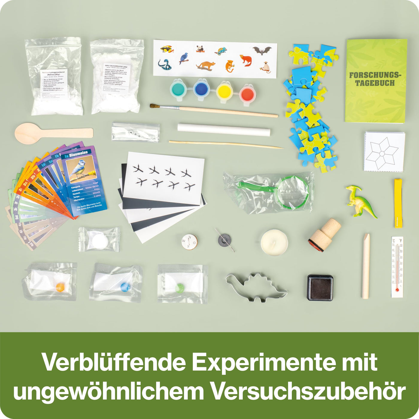 FRANZIS 67330 - CheXperiment Adventskalender Forsche und entdecke mit Checker Tobi!