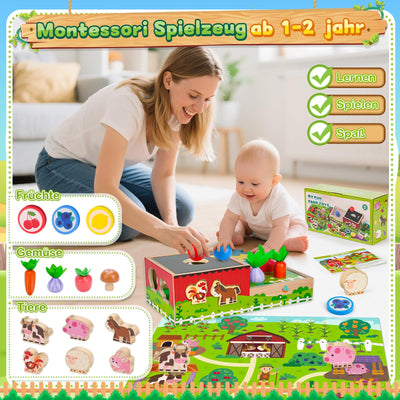 Montessori Spielzeug ab 1 2 Jahr: Geschenk Junge Mädchen 1-2 Jahre Kinderspielzeug Motorikwürfel Holzspielzeug Farmspiel mit Karte Karotten Steckspiel Lernspiel Kleinkinder ab 12 Monate Activity Spiel