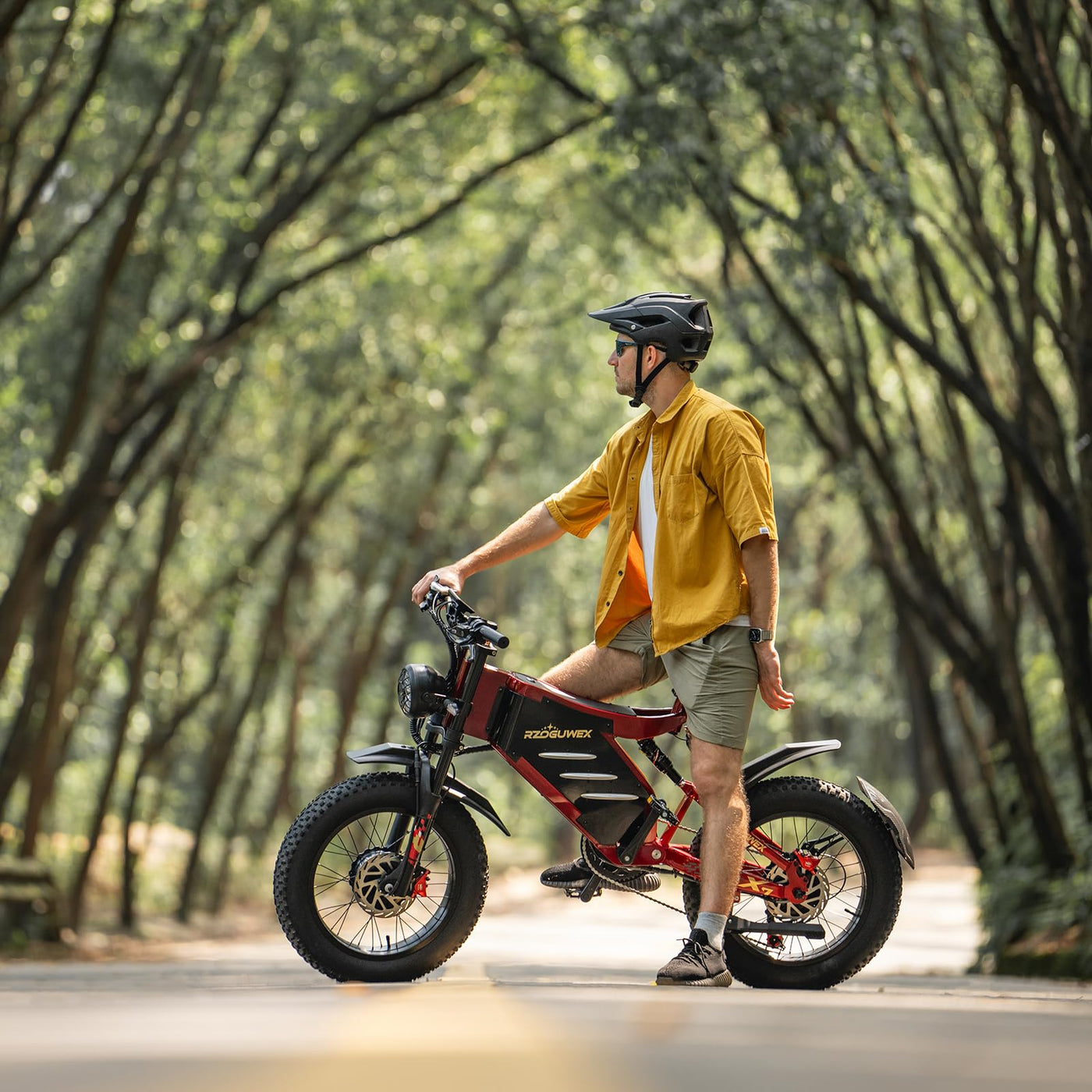 RZOGUWEX Elektrofahrrad, 20 Zoll 160NM Doppelmotor-Offroad-EBIKE für Erwachsene mit abnehmbarem 48V 30AH Lithium-Ionen-Akku, doppelte hydraulische Scheibenbremse