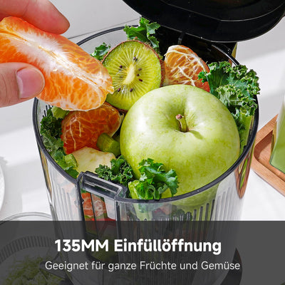 AMZCHEF Entsafter - Slow Juicer mit 135MM Breite und Größere Fütterungsröhre für Ganze Gemüse und Obst - Leicht zu Reinigender Entsafter mit 2 Gläsern - Silber