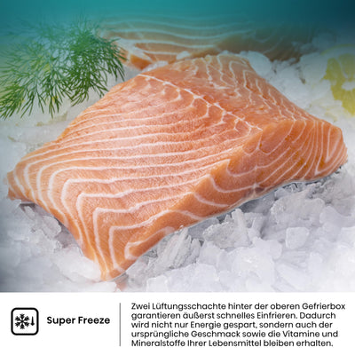 Hisense RB440N4AFA Kühl-Gefrier-Kombination/Höhe 201 cm/Kühlen 178 L/Gefrieren 98 L/LED Beleuchtung, Dark Inox