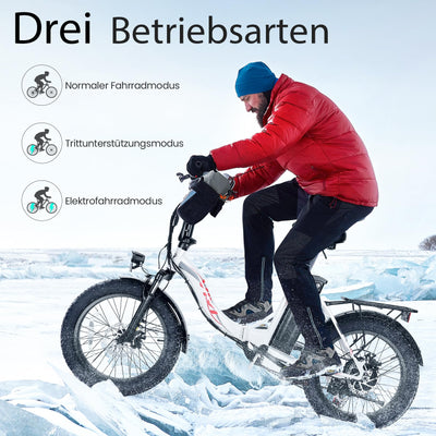 ANCHEER Klapprad E-Bike, 20"*3.0 Elektrofahrrad mit 36V 10.2Ah Lithium-Akku für Lange Reichweite bis 100KM, 250W Motor, 7 Gang für Herren Damen