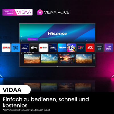 Hisense 65E7NQ Pro 164 cm (65 Zoll) Fernseher, 4K UHD, QLED, Smart TV, Total HDR, Dolby Vision IQ Atmos, 144Hz (VRR), HDMI 2.1, Game Mode PRO, Triple Tuner, Alexa Built-In, Dunkelgrau, [2024]