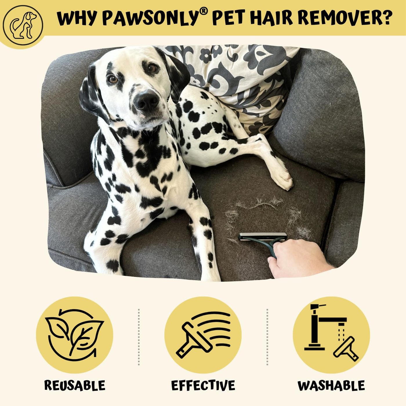 PawsOnly Tierhaarentferner | Katzenhaarentferner | Hundehaare Entfernen | Fusselentferner für Sofa Auto Teppich Kratzbaum Kleidung | Tragbarer | Fusselbürste Tierhaare Pet Hair Remover (Orange)