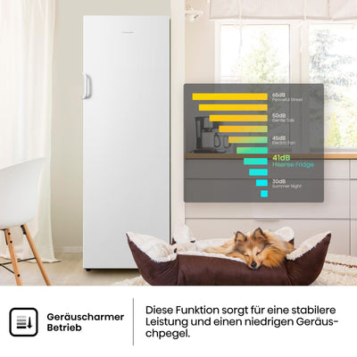 Hisense FV245N4AW2 Gefrierschrank/ TotalNoFrost/ SuperFreeze/ Türalarm/ BigBox/ 169,1 cm/ Gefrierteil 194 l/ 41 dB/ 219 kWh/ Jahr/ Inox-Look, Weiß