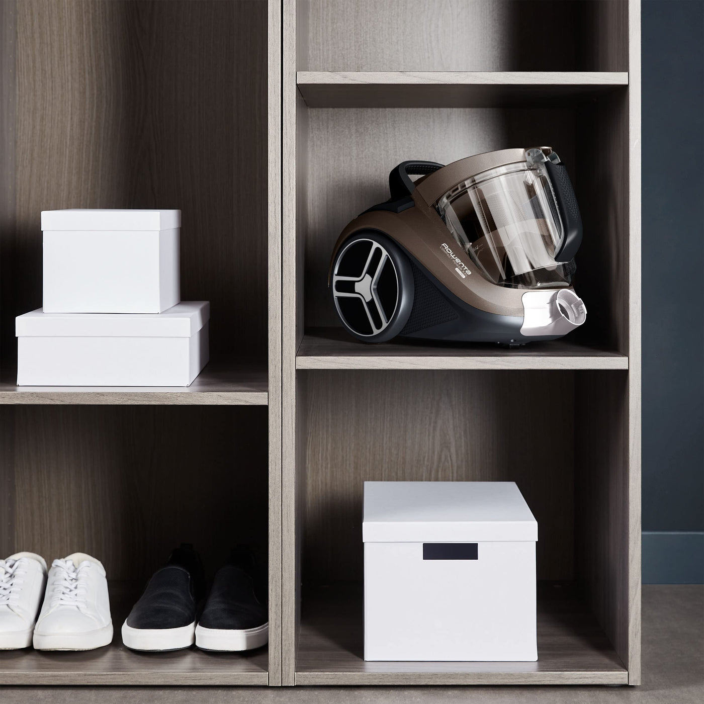 Rowenta RO4B50 Compact Power XXL Animal, beutelloser Bodenstaubsauger, Bronze, 900 W, 2.5 liters, 69 Dezibel