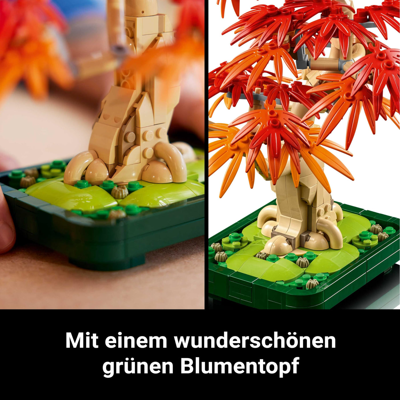 LEGO Botanicals Japanischer Roter Ahorn – Bonsai-Baum - Künstliche Pflanzen Bauset mit roten & orangen Blättern, Plus Schale - Home Dekor - Geschenkidee für Erwachsene - 10348