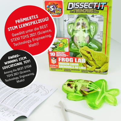 Original SLIMY Lab Dissect-IT Frosch - Experimentieren & Forschen Sezier-Set - Schleim Labor, prämiertes STEM/Mint Lernspielzeug, Slime-Set mit Spielknete und Sezierwerkzeug