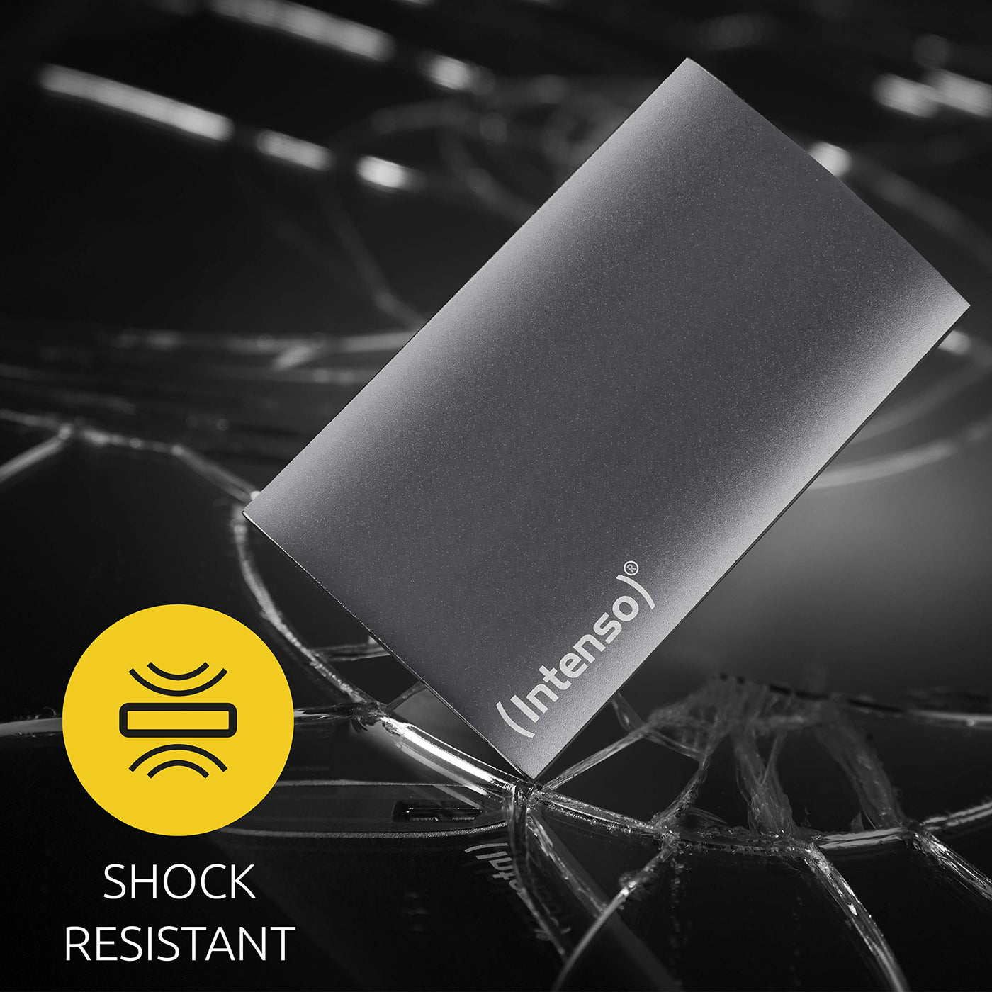 Intenso External SSD 256GB Premium