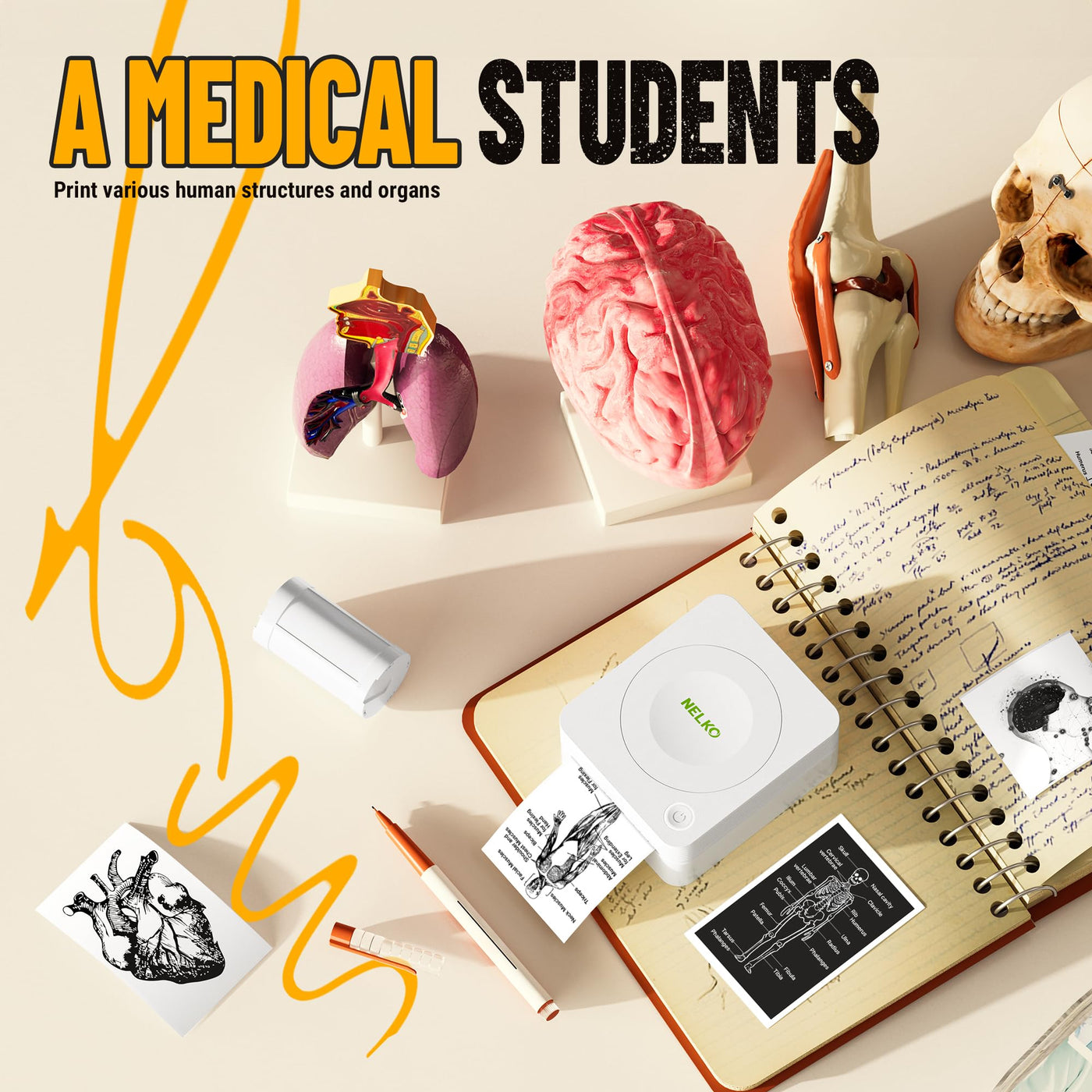 Nelko Mini Drucker PM230 Aufkleber Drucker Fotodrucker mit 3 Rollen Etiketten für Smartphone Thermodrucker Bluetooth Etikettendrucker für DIY Erstellung, Studiennotizen, (Weiß)