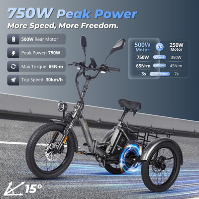 Fafrees 2025 F20 Mate Fat Klapprad E-Bike Dreirad für Erwachsene 20 Zoll 48V 21Ah Akku [ Offiziell ] Elektrofahrrad 65 N.m (Hintere Lastenkorb, Grau)