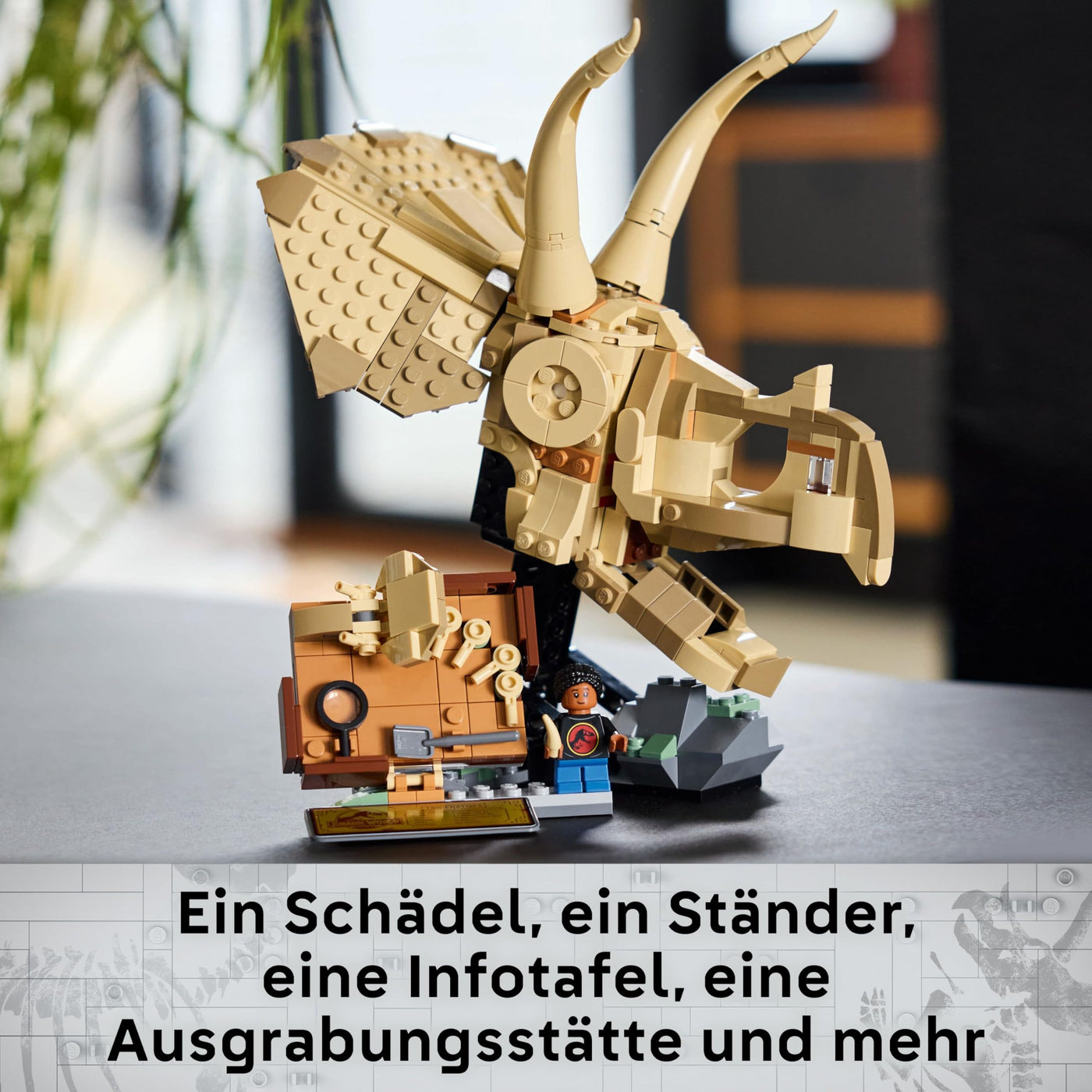 LEGO Jurassic World Dinosaurier-Fossilien: Triceratops-Schädel Modell, Dinosaurier Spielzeug für Jungen und Mädchen ab 9 Jahren, Geschenk für Kinder und Jurassic World Fans 76969