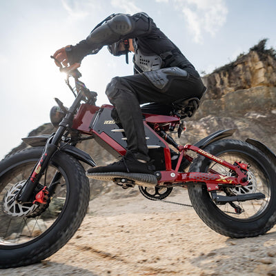 RZOGUWEX Elektrofahrrad, 20 Zoll 160NM Doppelmotor-Offroad-EBIKE für Erwachsene mit abnehmbarem 48V 30AH Lithium-Ionen-Akku, doppelte hydraulische Scheibenbremse