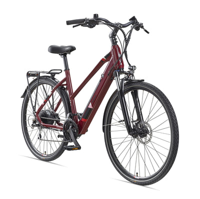 TELEFUNKEN E-Bike Damen Elektrofahrrad Alu 28 Zoll mit 24-Gang Shimano Acera Kettenschaltung, Pedelec Trekkingrad mit Hinterrad-Motor 250W 11,6 Ah, 36V Akku, XC940 Expedition