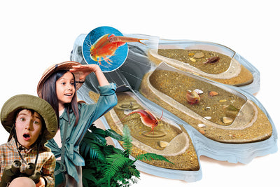 Clementoni Galileo Lab – Original Triops Maxi de Luxe, Züchten & Beobachten von Urzeitkrebsen, Spielzeug für Kinder ab 8 Jahren, neues Modell 2021 von Clementoni 59246