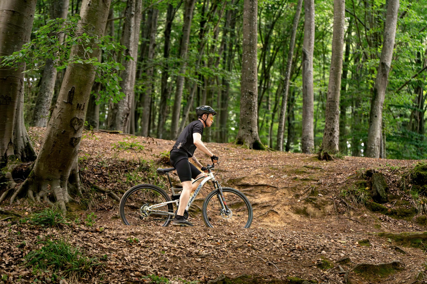 Chillaxx Bike Legend Aluminium 24, 26, 27,5 und 29 Zoll Shimano Mountainbike MTB Fahrrad für Jungen Mädchen Herren und Damen 21 Gang Schaltung Herrenrad Damenrad (27,5 Zoll, Schwarz Disc-Bremse)