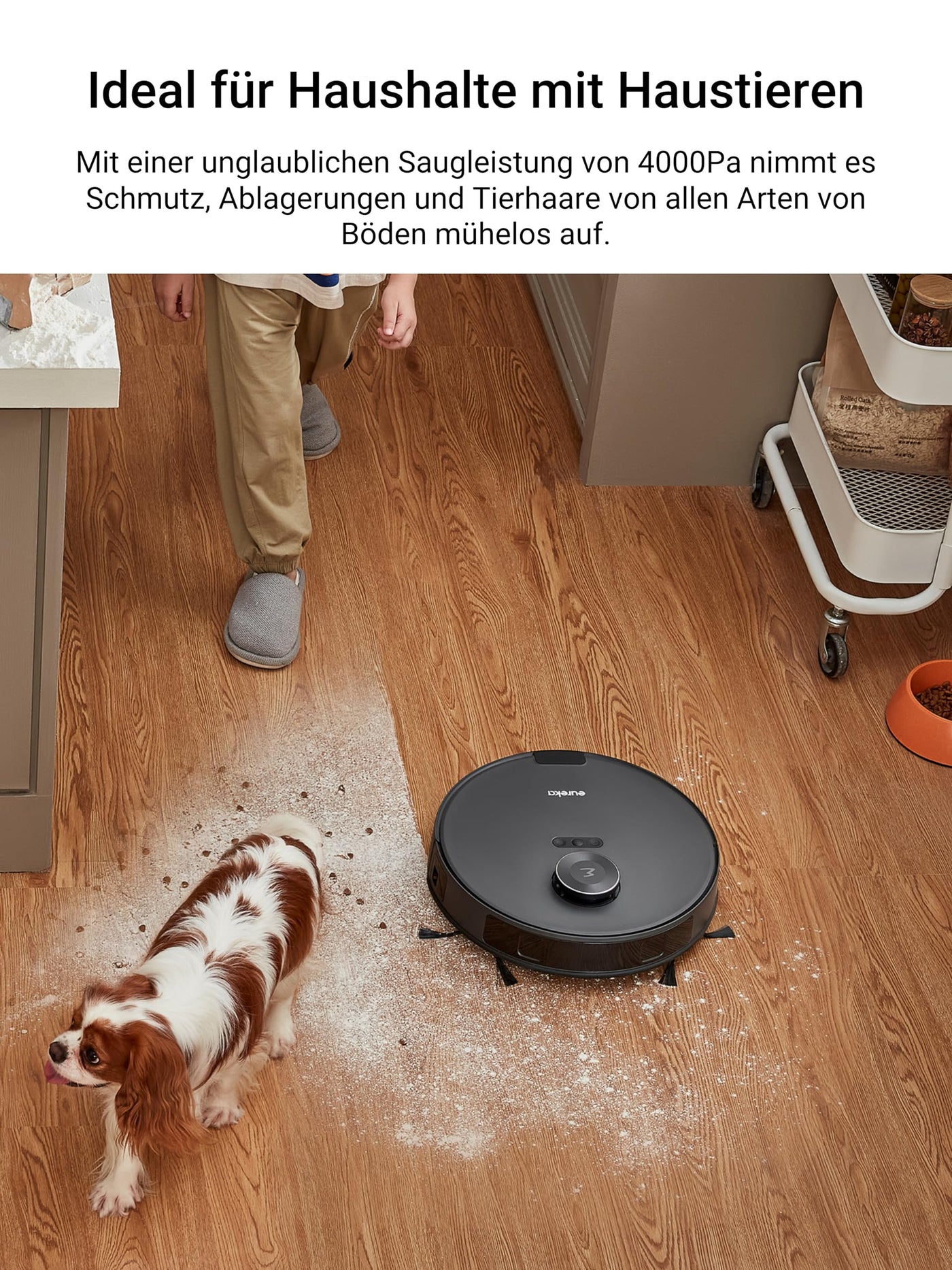 EUREKA E10s DE Saug- & Wischroboter + beutelloser Multi-Zyklon-Absaugstation (4000Pa, auto Teppicherkennung & auto Mop Lifting, LiDAR-Navigation, ideal gegen Tierhaare, App- & Sprachsteuerung) schwarz