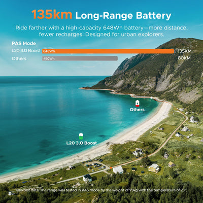 ENGWE E Bike mit APP, ebike 48V 13.5Ah Akku bis 135km, Drehmomentsensor & hydraulische Bremsen, 20 * 3.0 Reifen, 2 Stunden aufgeladen (Champagner-Gold)