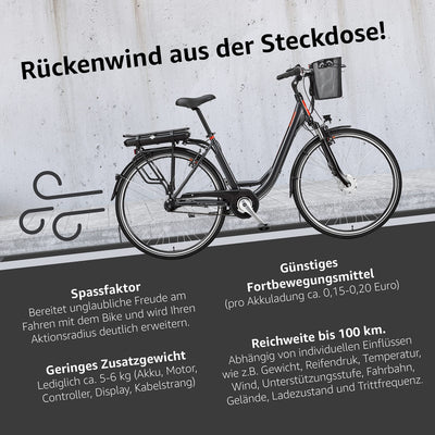 TELEFUNKEN E-Bike Elektrofahrrad Alu, mit 7-Gang Shimano Nabenschaltung, Pedelec Citybike leicht mit Fahrradkorb, 250W und 13Ah, 36V Lithium-Ionen-Akku, 28 Zoll, RC657 Multitalent anthrazit