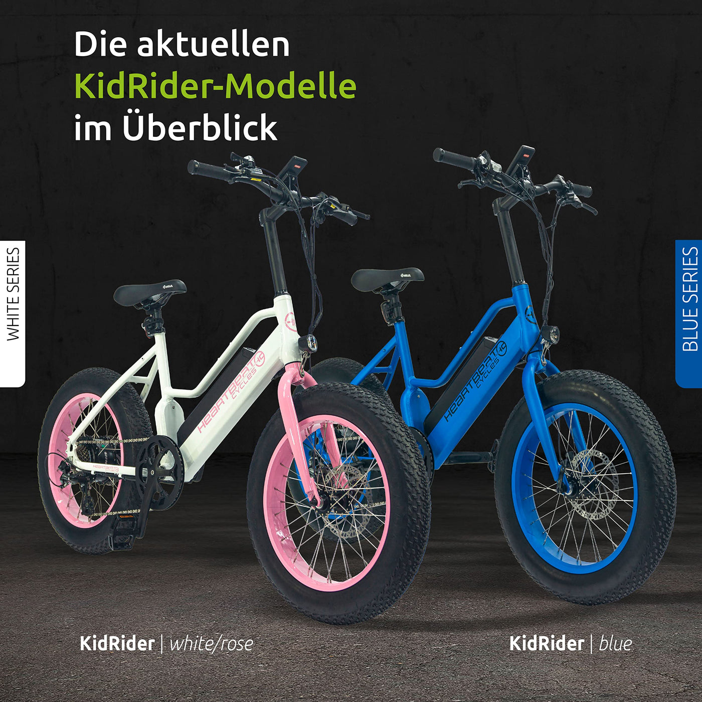 Highphoria Elektrofahrrad Kinder 20 Zoll, Fat Tire E-Bike für Kids, 25 km/h 100km E-Mountainbike Elektro Fahrrad mit 48V 250W Motor, 7-Gänge Pedelec (Blau/Blau)