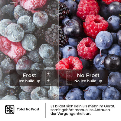 Hisense RB327N4AD2 Kühl-Gefrierkombination/ NoFrostPlus/ Multiflow 360°/ HolidayMode/ FreshZone/ 182,4 cm/ Kühlteil 171 l/ Gefrierteil 85 l/ 41 dB/ 287 kWh/ Jahr/ Edelstahl-Look