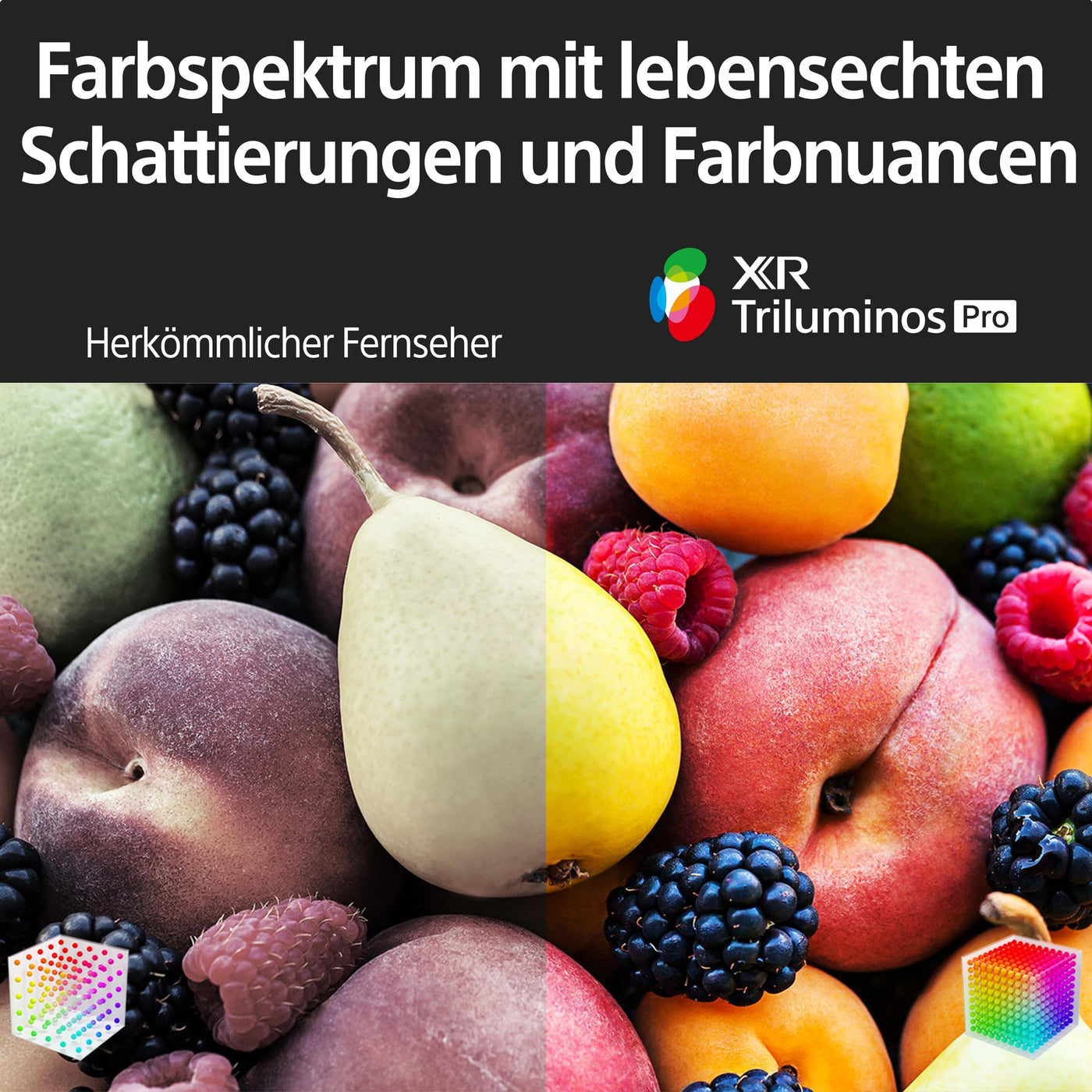 Sony BRAVIA XR, XR-50X90S, 50 Zoll Fernseher, Full Array LED, 4K HDR 120Hz, Google TV, Smart TV, Works with Alexa, mit exklusiven PS5-Features, HDMI 2.1, Gaming-Menü mit ALLM + VRR, 24 + 12M Garantie