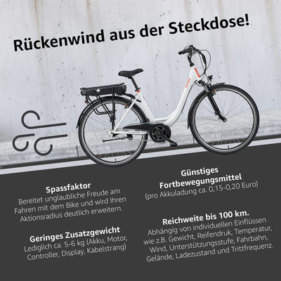 TELEFUNKEN E-Bike Damen 28 Zoll, Elektrofahrrad Alu mit 7-Gang Nabenschaltung - Pedelec Citybike, Mittelmotor 250W & 13Ah / 36V Lithium-Ionen-Akku, RC890 Multitalent