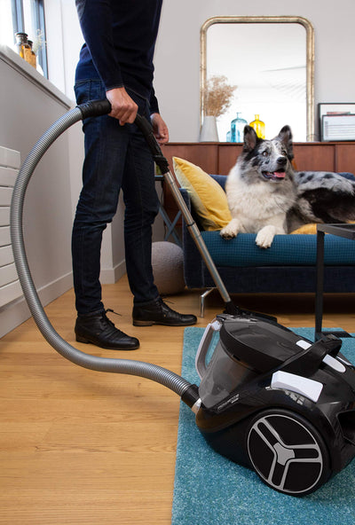 Rowenta RO4825EA Compact Power XXL, beutelloser Bodenstaubsauger, Schwarz, 550 W, 2.5 liters, 75 Dezibel