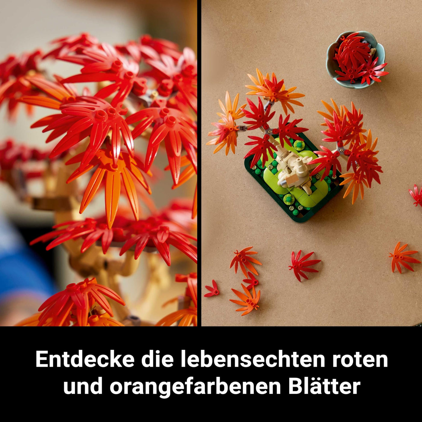 LEGO Botanicals Japanischer Roter Ahorn – Bonsai-Baum - Künstliche Pflanzen Bauset mit roten & orangen Blättern, Plus Schale - Home Dekor - Geschenkidee für Erwachsene - 10348