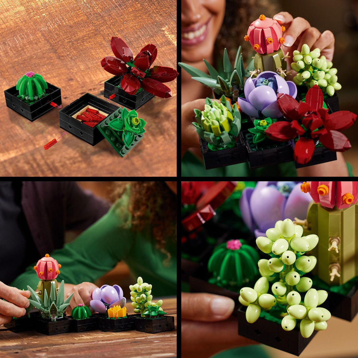 LEGO Botanicals Sukkulenten - Künstliche Blumen Set für Erwachsene - Blumenstrauß Bauset - Kreatives Hobby und Home Deko - Geschenkidee für Frauen & Männer - Botanik Kollektion (9 Pflanzen) 10309