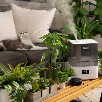 LEVOIT 6L Luftbefeuchter Top-Fill Humidifier Wlan 28dB mit APP & Alexa Steuerung, Auto & Schlafmodus, Ultra Leise 60H Ultraschall Raumluftbefeuchter mit Kinderzimmer Schlafzimmer bis 47m², Grau