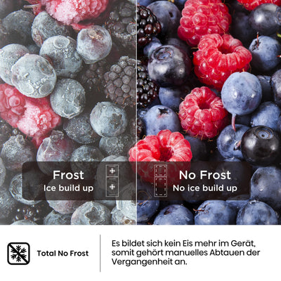 Hisense FV245N4AW2 Gefrierschrank/ TotalNoFrost/ SuperFreeze/ Türalarm/ BigBox/ 169,1 cm/ Gefrierteil 194 l/ 41 dB/ 219 kWh/ Jahr/ Inox-Look, Weiß