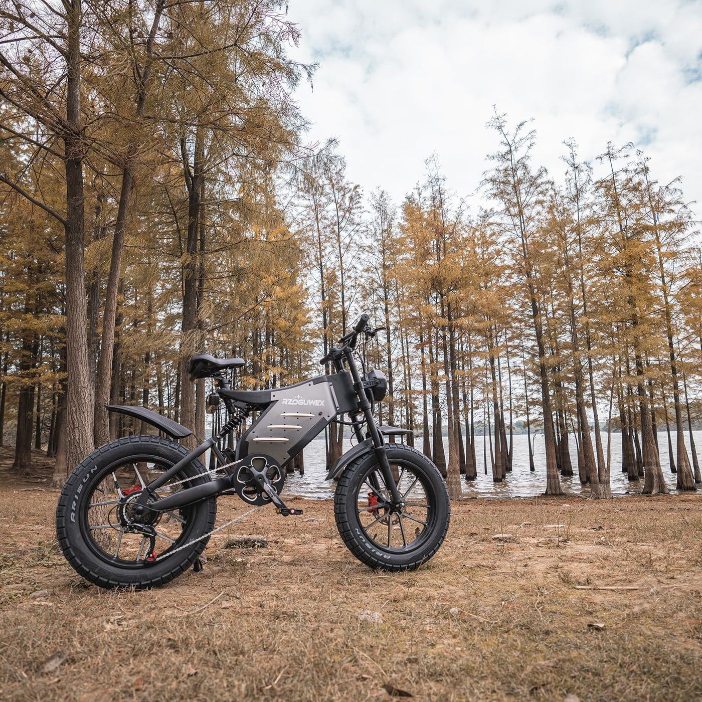 rzoguwex elektrofahrrad RZOGUWEX Elektrofahrrad, 20-Zoll-Offroad-EBIKE für Erwachsene mit abne – Testberichte aus Berlin