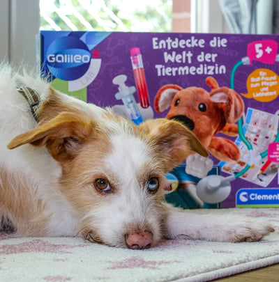 Clementoni Galileo Lab – Entdecke die Welt der Tiermedizin, spannendes Spielset mit vielen Utensilien & nützlichen Informationen, für angehende Tierärzte ab 5 Jahren von Clementoni 59262