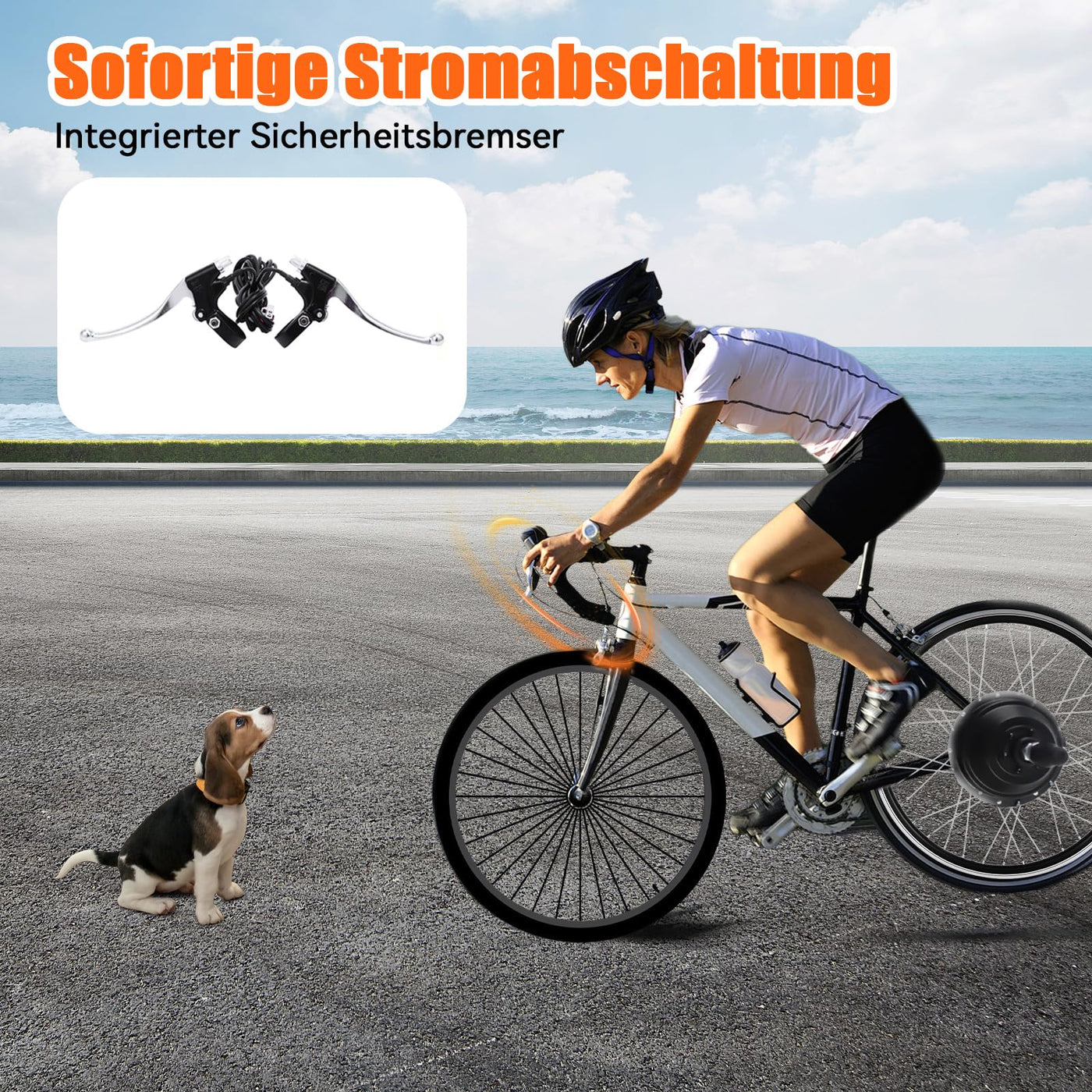 jiumxliu 20 Zoll 36V Ebike Umbausatz 250W Elektrofahrrad Umbausatz Heckmotor Elektrofahrrad Conversion Kit 30km/h, 5-Stufen PAS, Tempomat, LCD-Display, Controller-Paket, für Scheiben-/V-Bremse