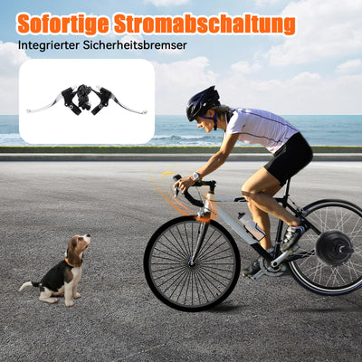 jiumxliu 20 Zoll 36V Ebike Umbausatz 250W Elektrofahrrad Umbausatz Heckmotor Elektrofahrrad Conversion Kit 30km/h, 5-Stufen PAS, Tempomat, LCD-Display, Controller-Paket, für Scheiben-/V-Bremse