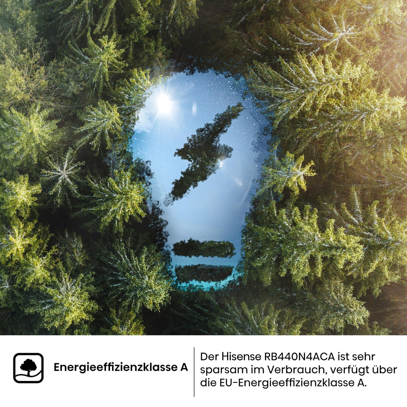 Hisense RB440N4ACA Kühl-Gefrier-Kombination/Höhe 201 cm/Kühlen 178 L/Gefrieren 98 L/LED Beleuchtung, Edelstahl