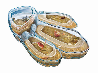 Clementoni Galileo Lab – Original Triops Maxi de Luxe, Züchten & Beobachten von Urzeitkrebsen, Spielzeug für Kinder ab 8 Jahren, neues Modell 2021 von Clementoni 59246