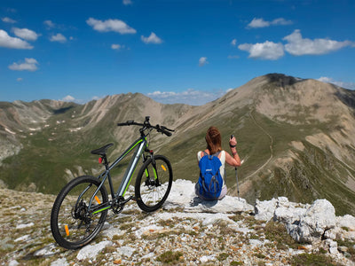 SachsenRAD E-Bike Mountain Bike R8 Ranger mit StVZO-Zertifiziert, 27,5 Zoll,Hydraulischen Scheibenbremsen,7-Gang Schaltung,LCD-Display,36V Vollintegriertem Akku,On und Off-Road Reifen-Grau