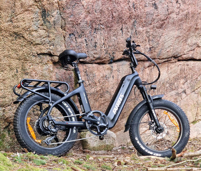 Fafrees F20 Master ebike 20 * 4.0 Zoll, Elektrofahrräder 48V 22.5Ah Akku, Carbonfaserrahmen e Bike Herren Damen 60N.m Motor, Pedelec Fahrradlast 150KG (Schwarz)