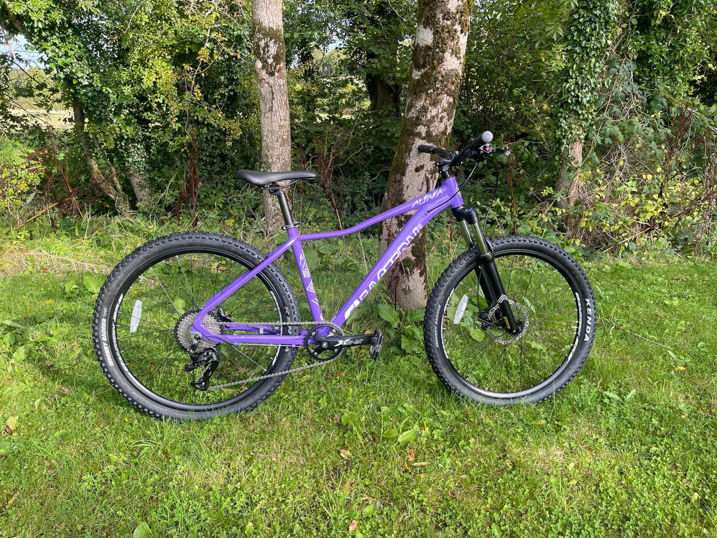 Eastern Bikes Alpaka 27,5" leichtes MTB-Mountainbike, 9-Gang, hydraulische Scheibenbremsen, Federgabel, in 3 Rahmengrößen Erhältlich (15", Lila)